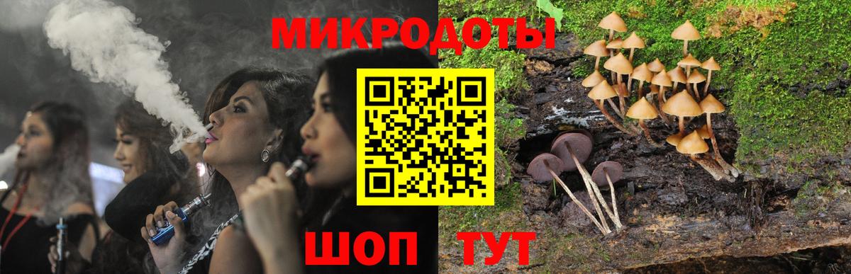 Советск  Псилоцибиновые грибы Cubensis  Вход с VPN 